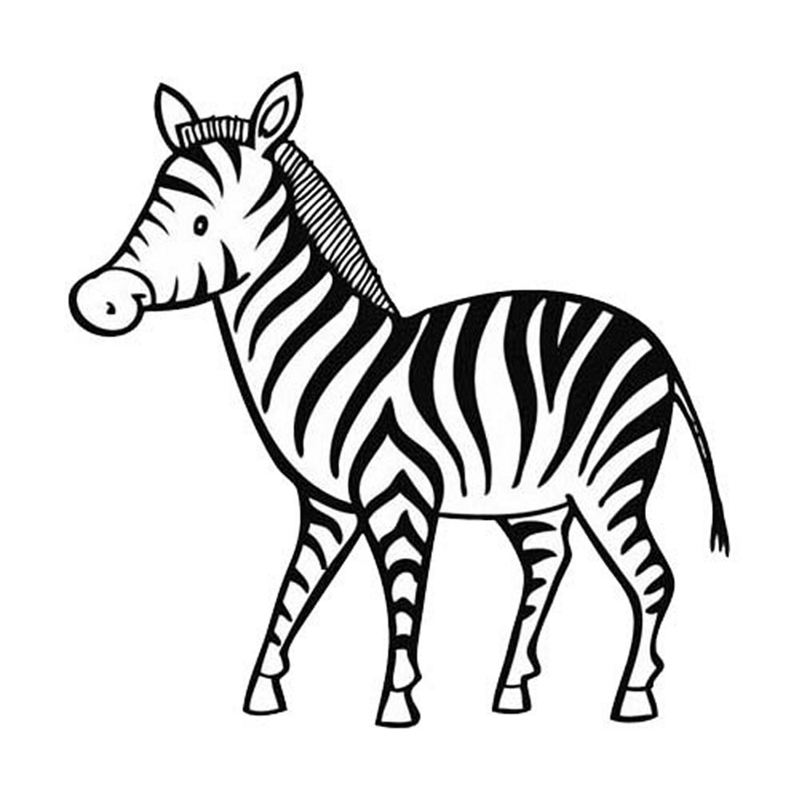 Zebra kolorowanki